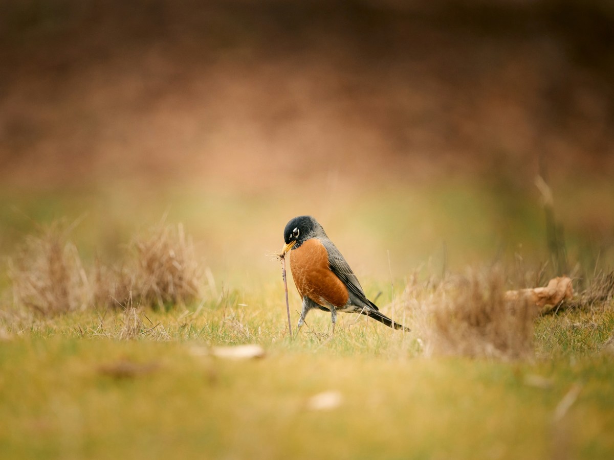 Early Bird Enrollment and&nbsp;Re-Registration